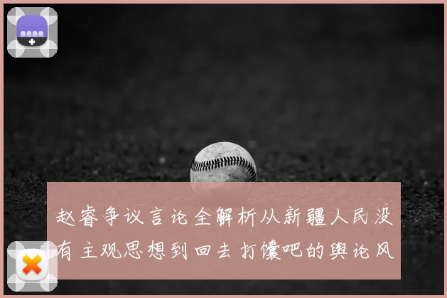 赵睿争议言论全解析从新疆人民没有主观思想到回去打馕吧的舆论风暴
