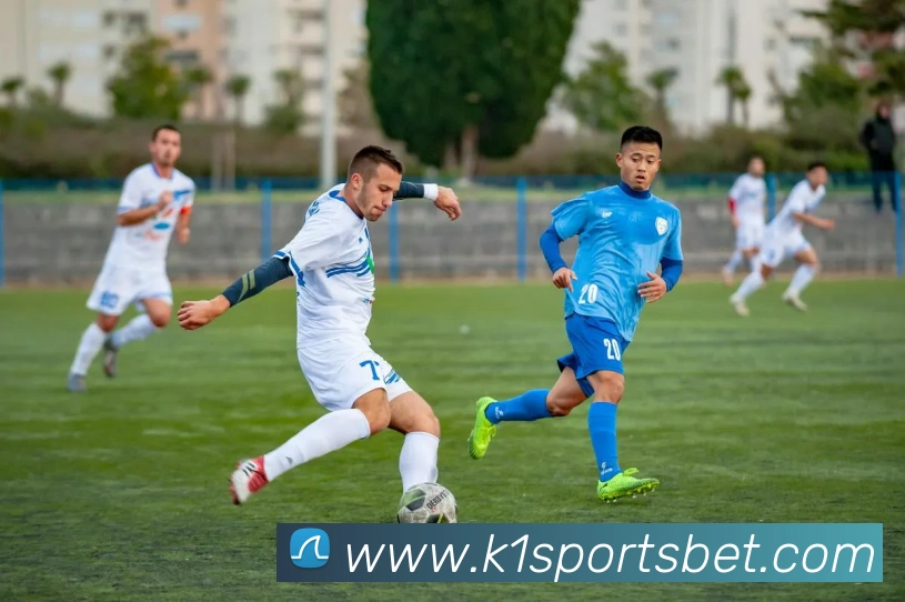 K1体育平台生态图